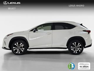 Lexus NX 2.5 300h Premium 2WD