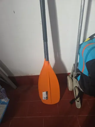 Remos thecatlon, con dos salidas justas y contadas