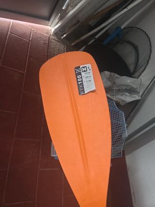 Remos thecatlon, con dos salidas justas y contadas