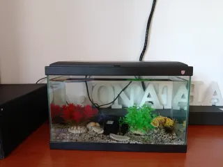 Acuario para peces