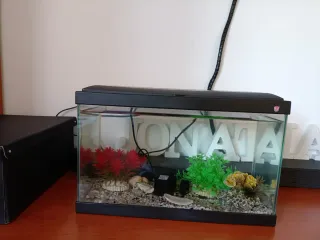 Acuario para peces
