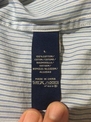 Camicia Polo Ralph Lauren a righe azzurre