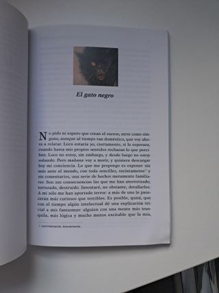 El Gato Negro y Otros Cuentos de Horror / The B...