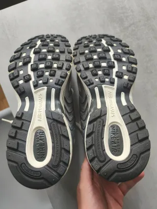 Zapatillas Nike Air Pegasus 2005 Plata