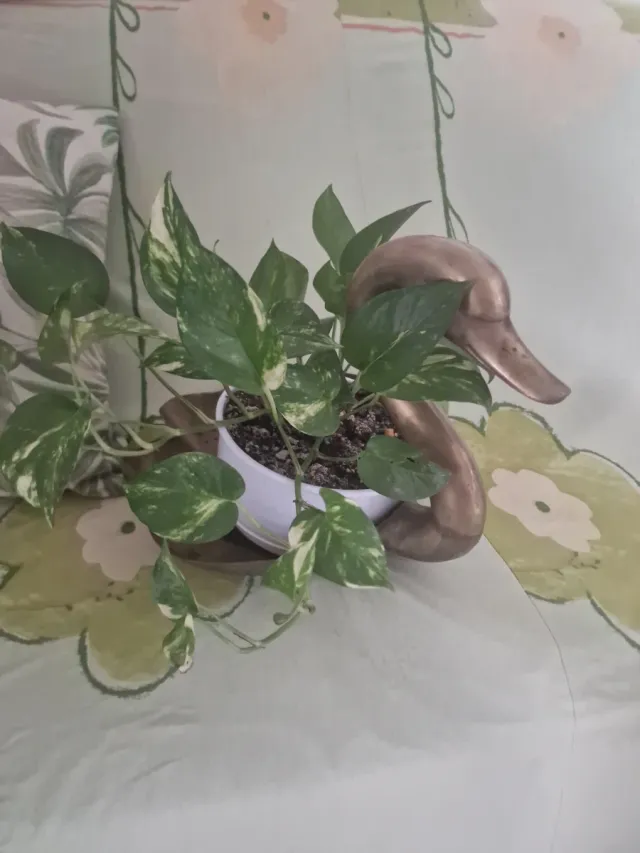 Pato de bronce decorativo