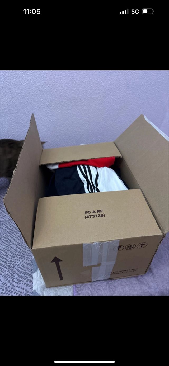 Lote Ropa Variada Marcas