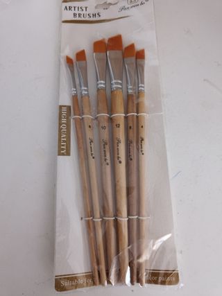 Set de 6 pinceles para artista