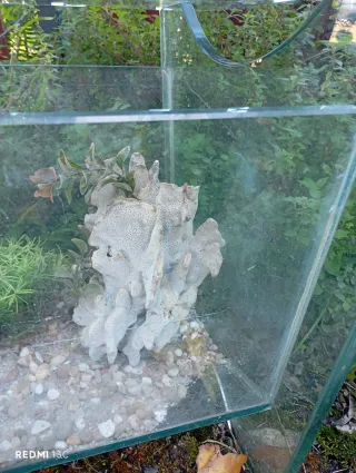 Mesa Acuario Cristal.no me deja subir más fotos.