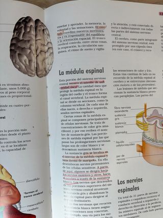 El cuerpo humano