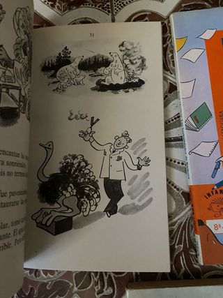 Lote 5 Libros Infantiles Alfaguara 10 años