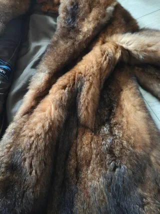 Pelliccia marrone di opossum