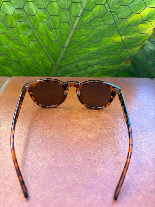 Gafas de sol azules y marrones