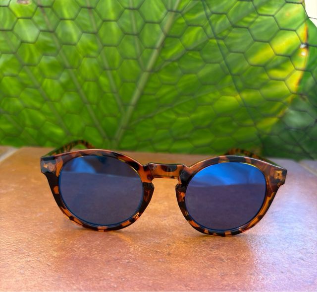 Gafas de sol azules y marrones