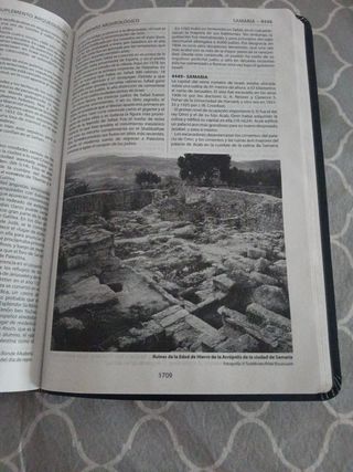 Biblia de referencia Thomson.