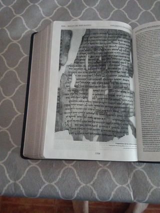 Biblia de referencia Thomson.