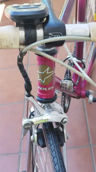 Bicicleta Zeus Carreras Talla S
