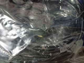 Portalampade 10metri + megafono