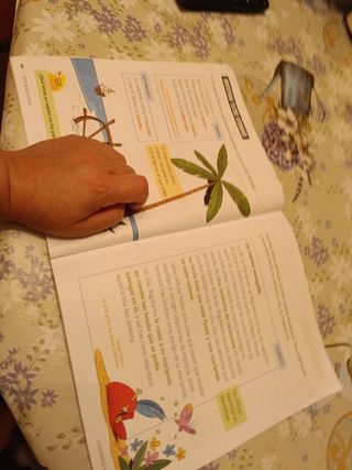 Proyecto: FanFest. Lengua castellana y Literatu...