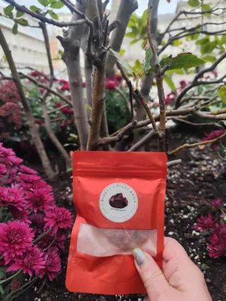 Resina naturale Dragon Blood