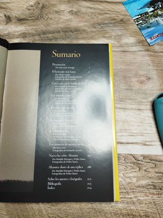 Los orígenes del hombre