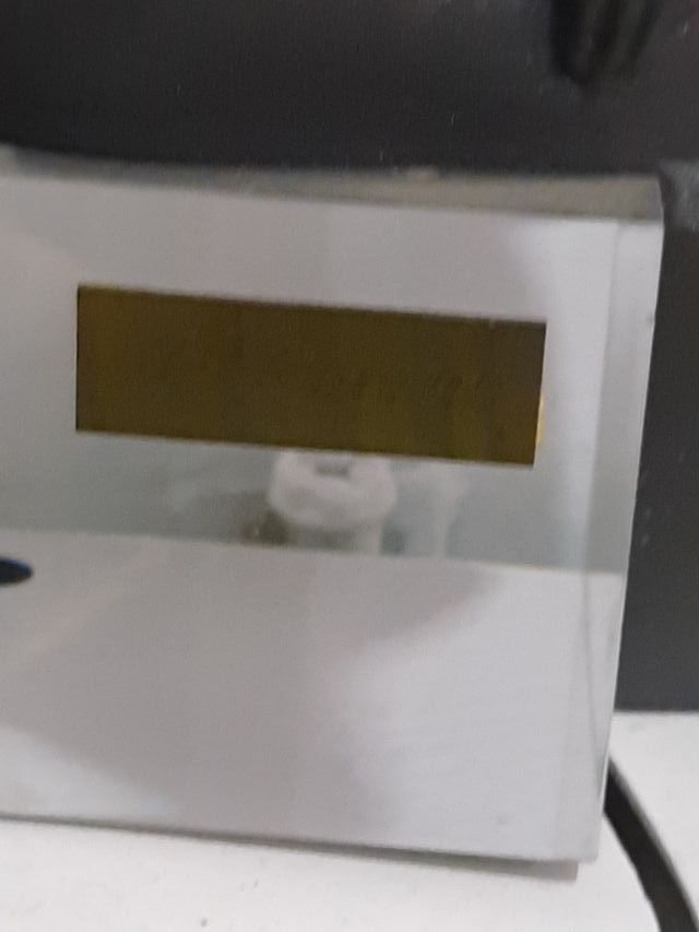 Figura di P.Borras donna seduta