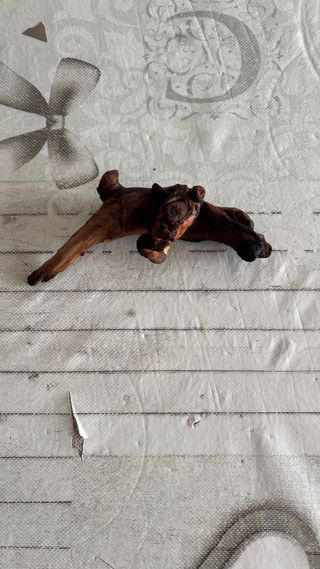 Madera de Manglar para Acuarios