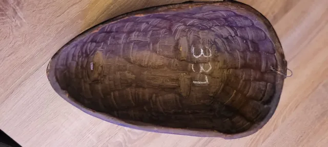 Máscara Africana Fang Madera