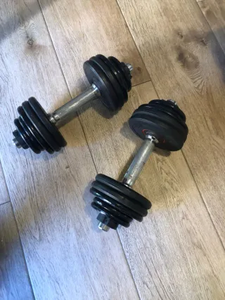 Mancuernas ajustables con discos