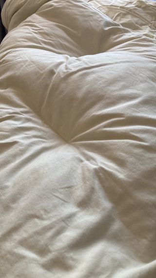 Edredón plumón oca  de Alemania.