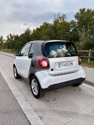 smart fortwo 2022