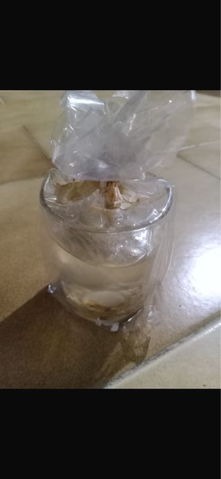 Candela tema marino vetro