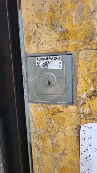 Puerta de garaje/local eléctrica