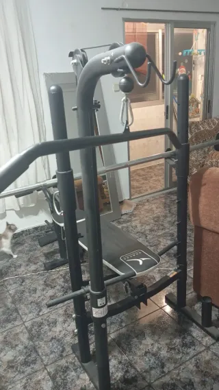 Banco de pesas y discos