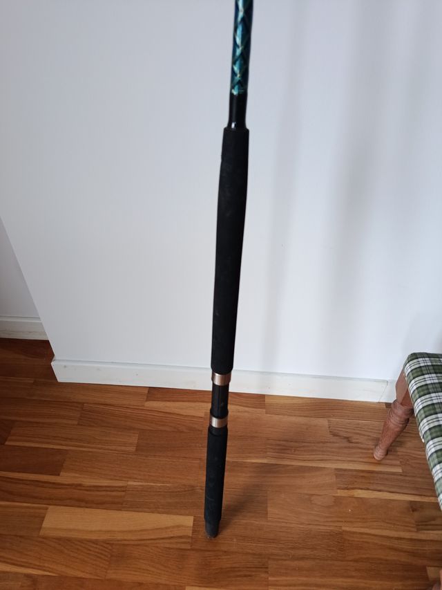 Caña Curricán Trabucco 2 Secciones