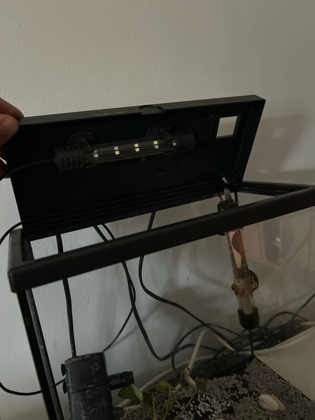 Pecera 15L con accesorios