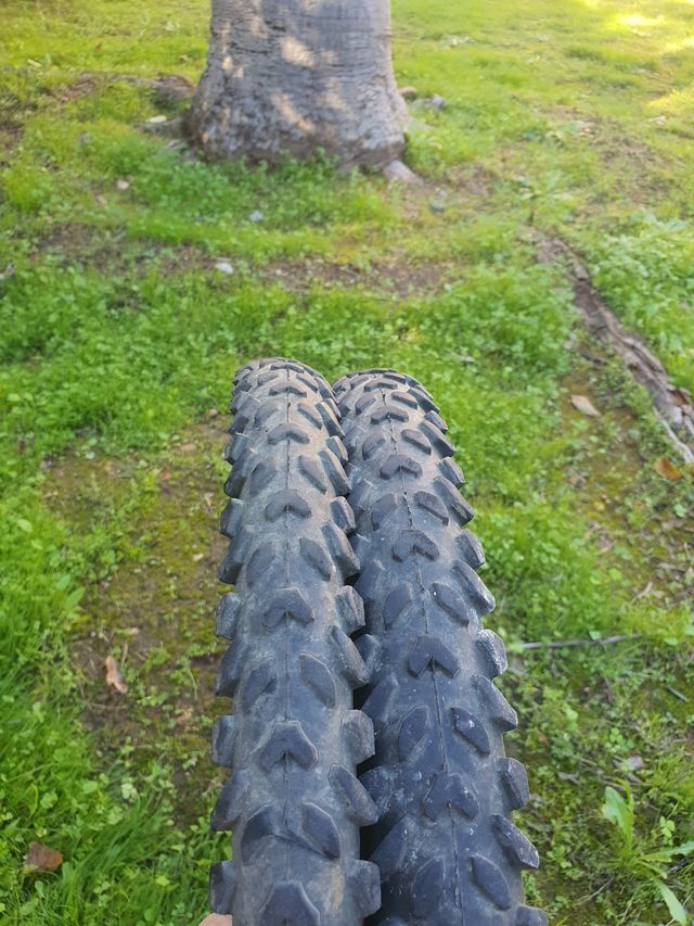 Cubiertas de bicicleta Monty 20 pulgadas