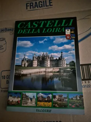 CASTELLI DELLA LOIRA.