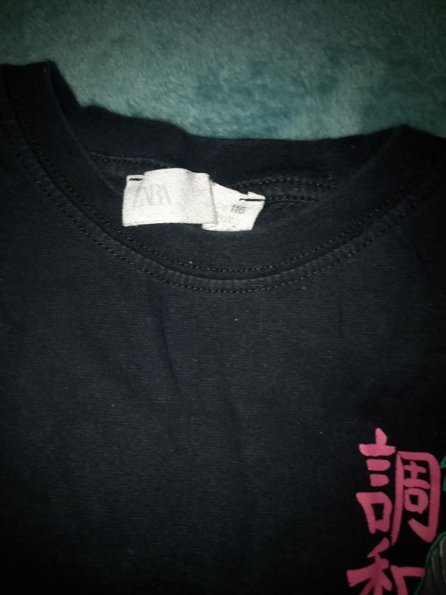 Lote Ropa Niño Talla 5-6