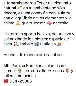 Terrario de plantas tropicales