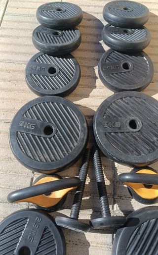 Par Mancuernas Pesa Rusa Discos Intercambiables