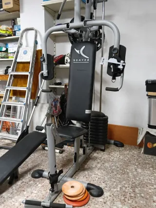 Máquina Entrenamiento Domyos + P. Vibratororia fit