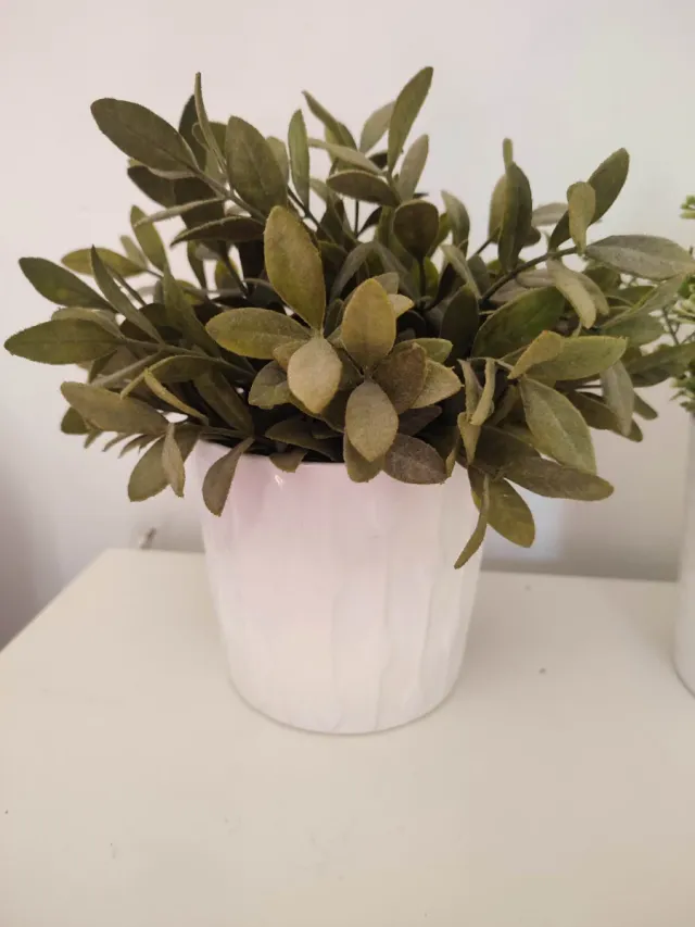 Lote 3 Maceteros y plantas IKEA