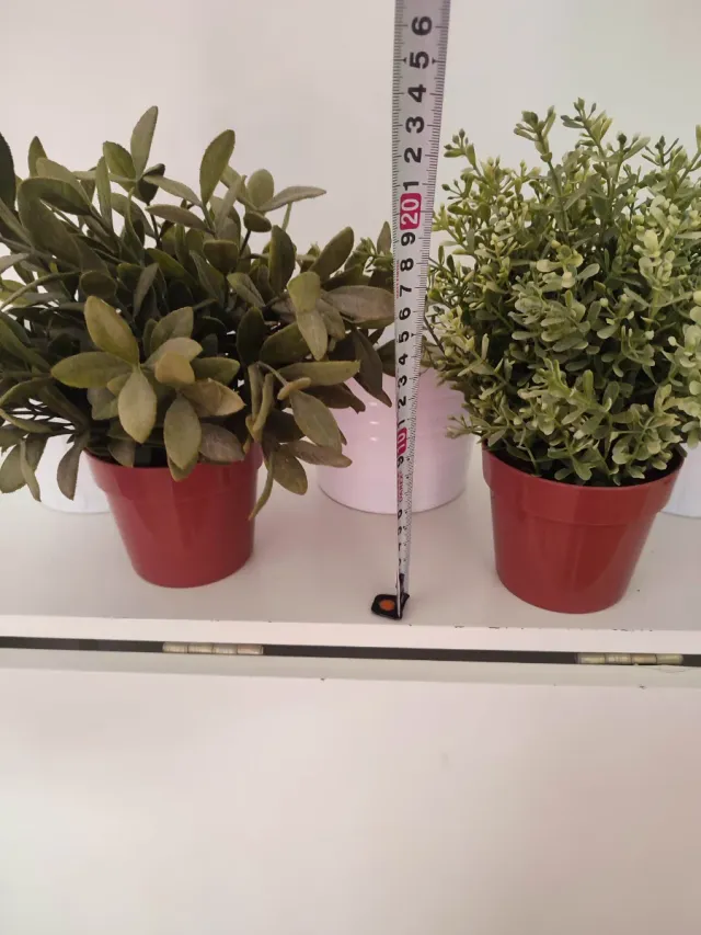 Lote 3 Maceteros y plantas IKEA