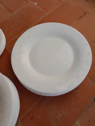 Juego de platos blancos con diseño de hojas