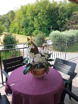 Monolocale N. 2 La Scarpina - Affitto Turistico