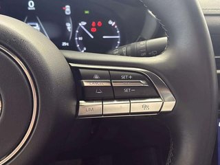 Mazda MX-30 e-SKYACTIVE 107kW Makoto Urban Expressio