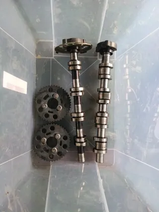 Árbol de levas 2.0 TDI BKD