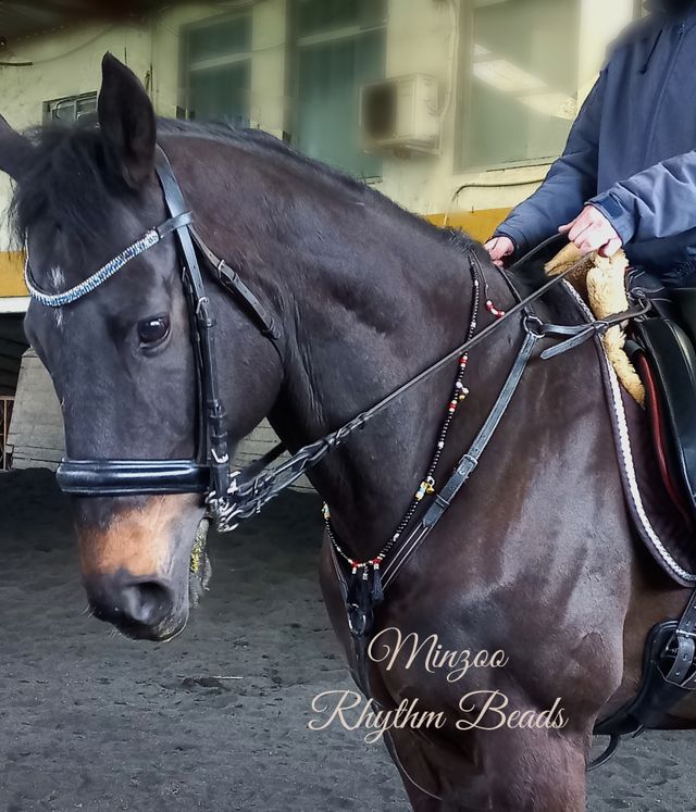 Collar relajante de campanillas para caballo