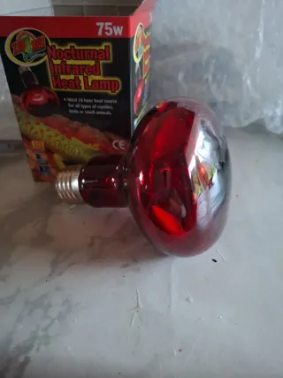 Bombilla infrarroja Zoo Med 75w Nocturna