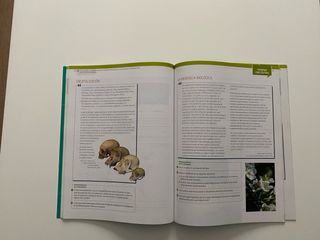 Filosofía, Bachillerato 1